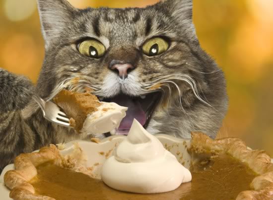 a pretty cat is about to eat some pie with a fork!